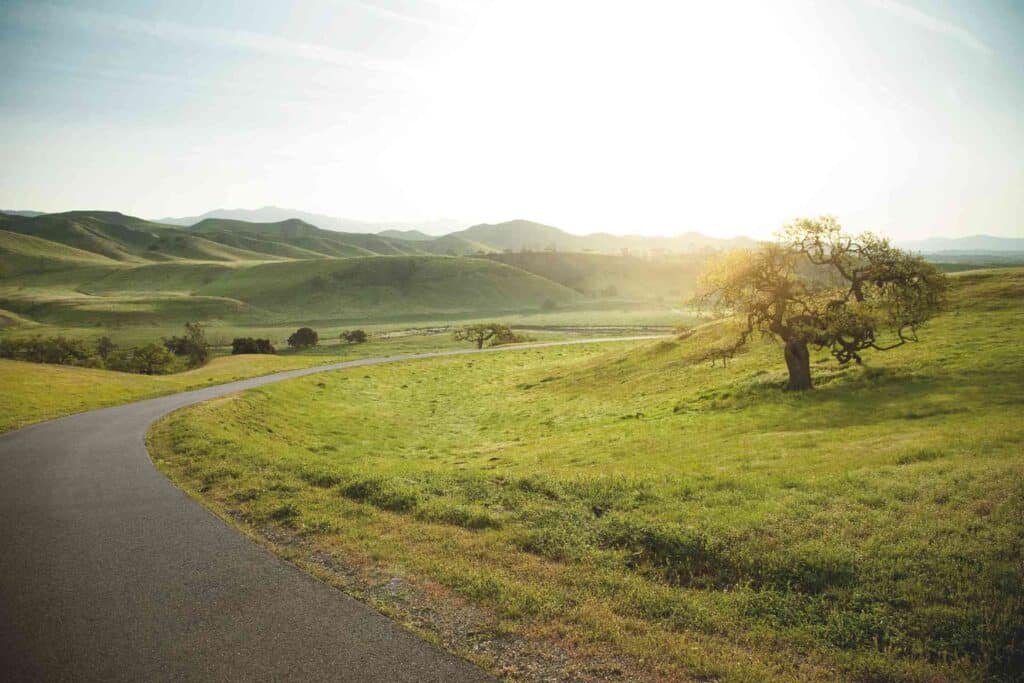 Bild zur E-Auto Förderung 2026 - grüne Wiesenlandschaft, durch die eine Straße führt - ei Baum steht rechts im Bild, im Hintergrund sind grüne Hügel zu sehen.