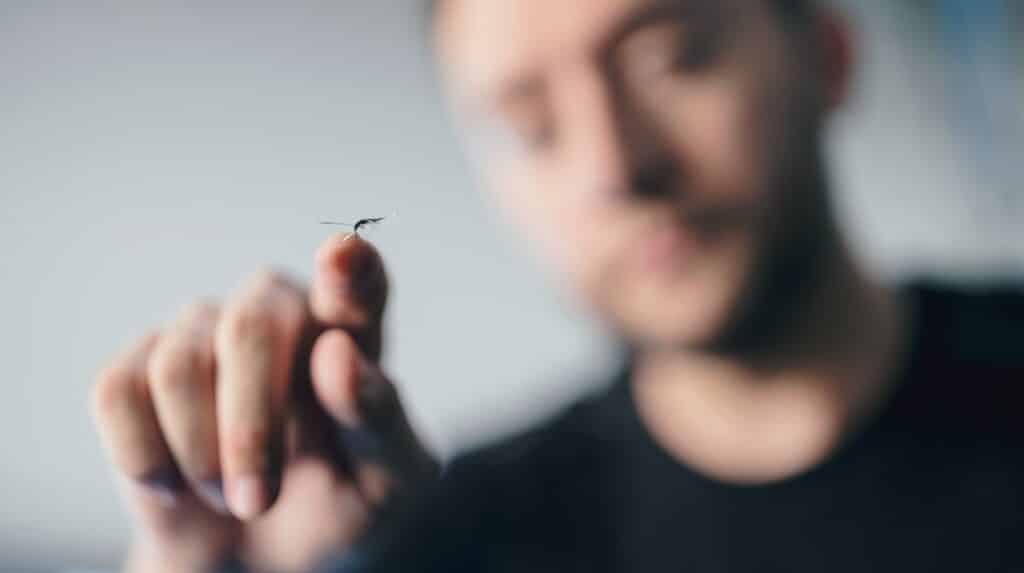 Ein Mann, der verschwommen im Hintergrund zu sehen ist, tippt mit seinem Zeigefinger auf den Steinschlag in einer Winschutzscheibe