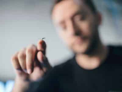 Professionelle Steinschlagreparatur und Windschutzscheibentausch.